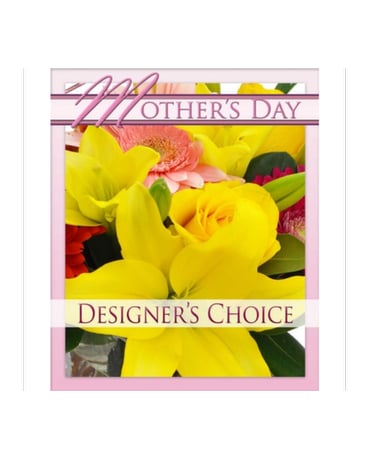 Designer's Choice Open Orders